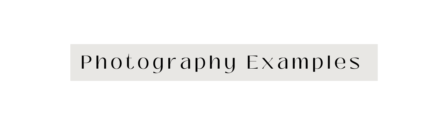 Photography Examples